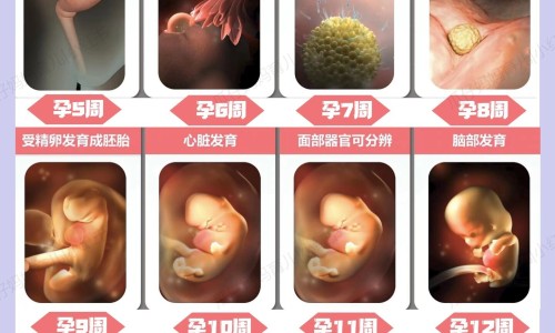 怀孕怎么避免妊娠纹-孕妇如何避免妊娠纹网 - 为你提供怀孕如何防止妊娠纹、孕妇如何避免妊娠纹的产生